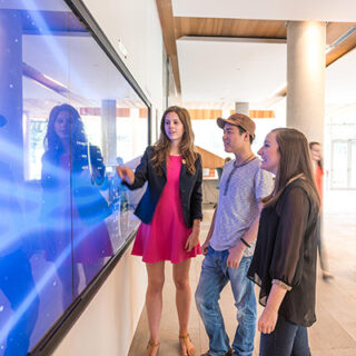 Interactive wall