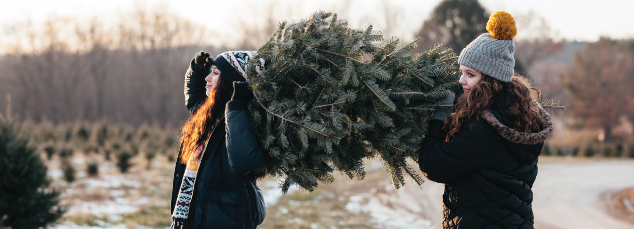 AuntLeah-1270x460 The A Project: Aunt Leah’s Place Tree Lot