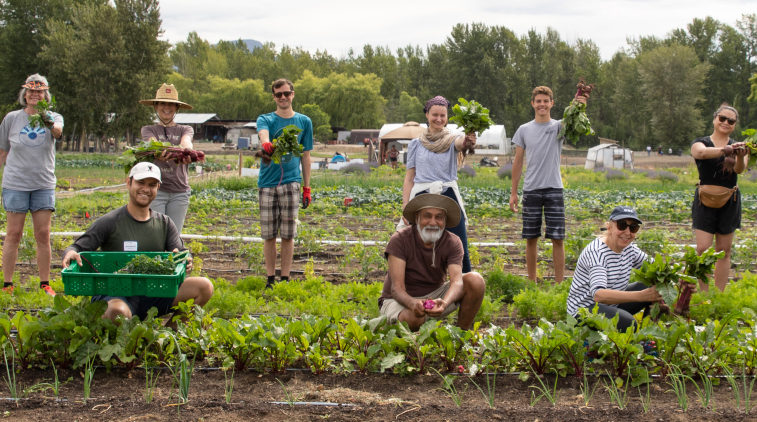 alumni UBC Volunteers