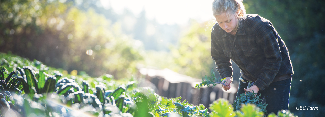 Support UBC students pursuing food security careers