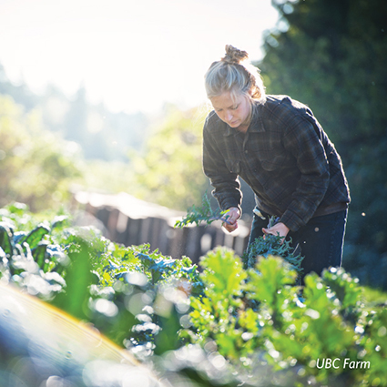 
Support UBC students pursuing food security careers