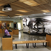 Pacific Museum of Earth